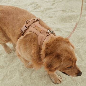 Devako hundesele walking sæt