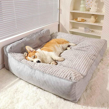 Betten & Schlafzubehör für Katzen und Hunde mit dickem waschbarem Kissen