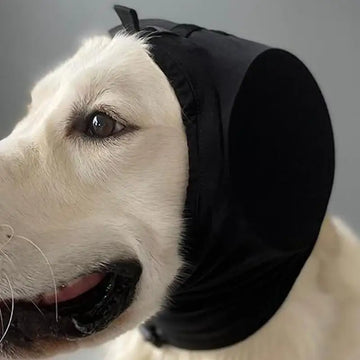 Oorwarmers voor honden met geluidsisolatie en verstelbare pasvorm 3