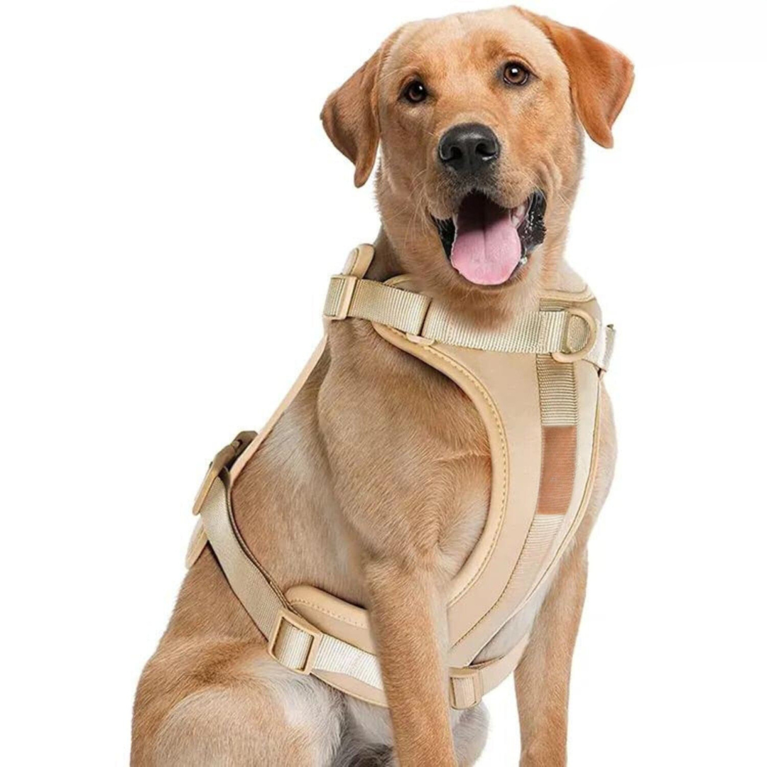 Devako hundesele walking sæt