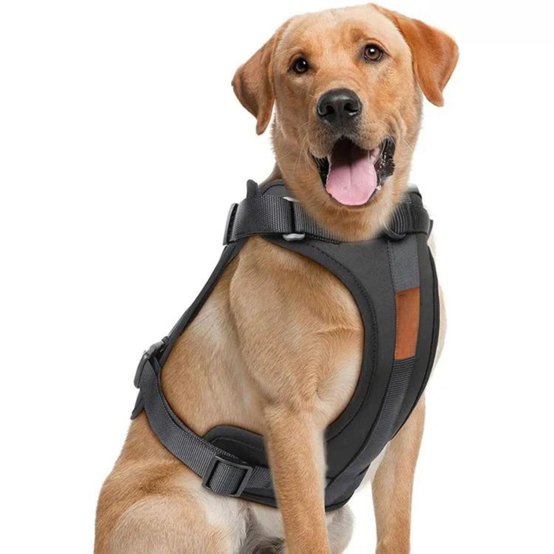 Devako hundesele walking sæt