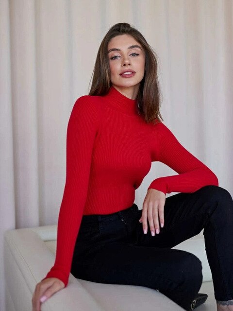 Modischer Rollkragenpullover für Frauen - Darian