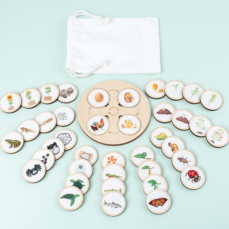 WoodenPuzzle - Lernspiel und interaktives Spiel für Kinder