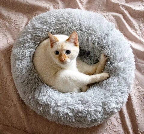 Pawello – Haustierbett flauschig & beruhigend – für Hunde und Katzen