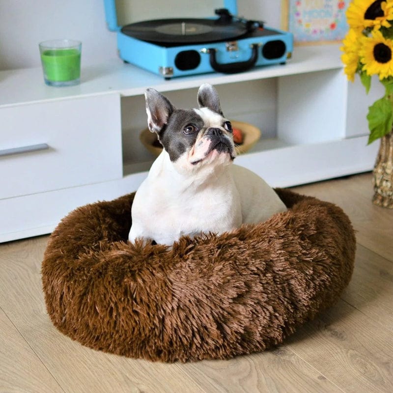 Pawello – Haustierbett flauschig & beruhigend – für Hunde und Katzen