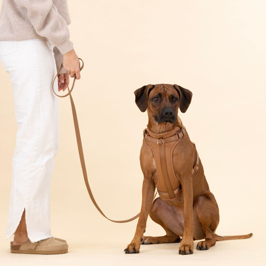 Devako hundesele walking sæt