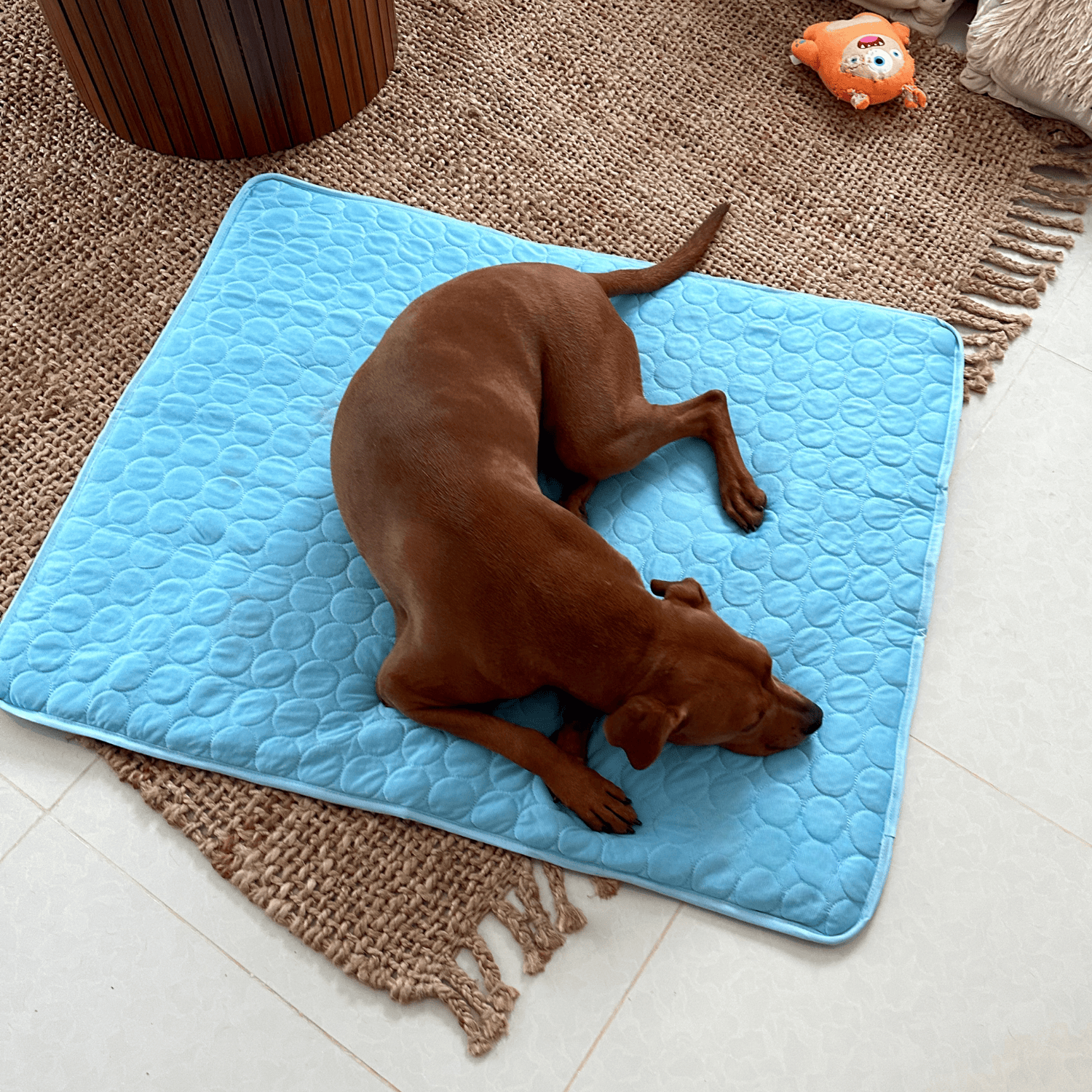 Devako Hundekühlmatte