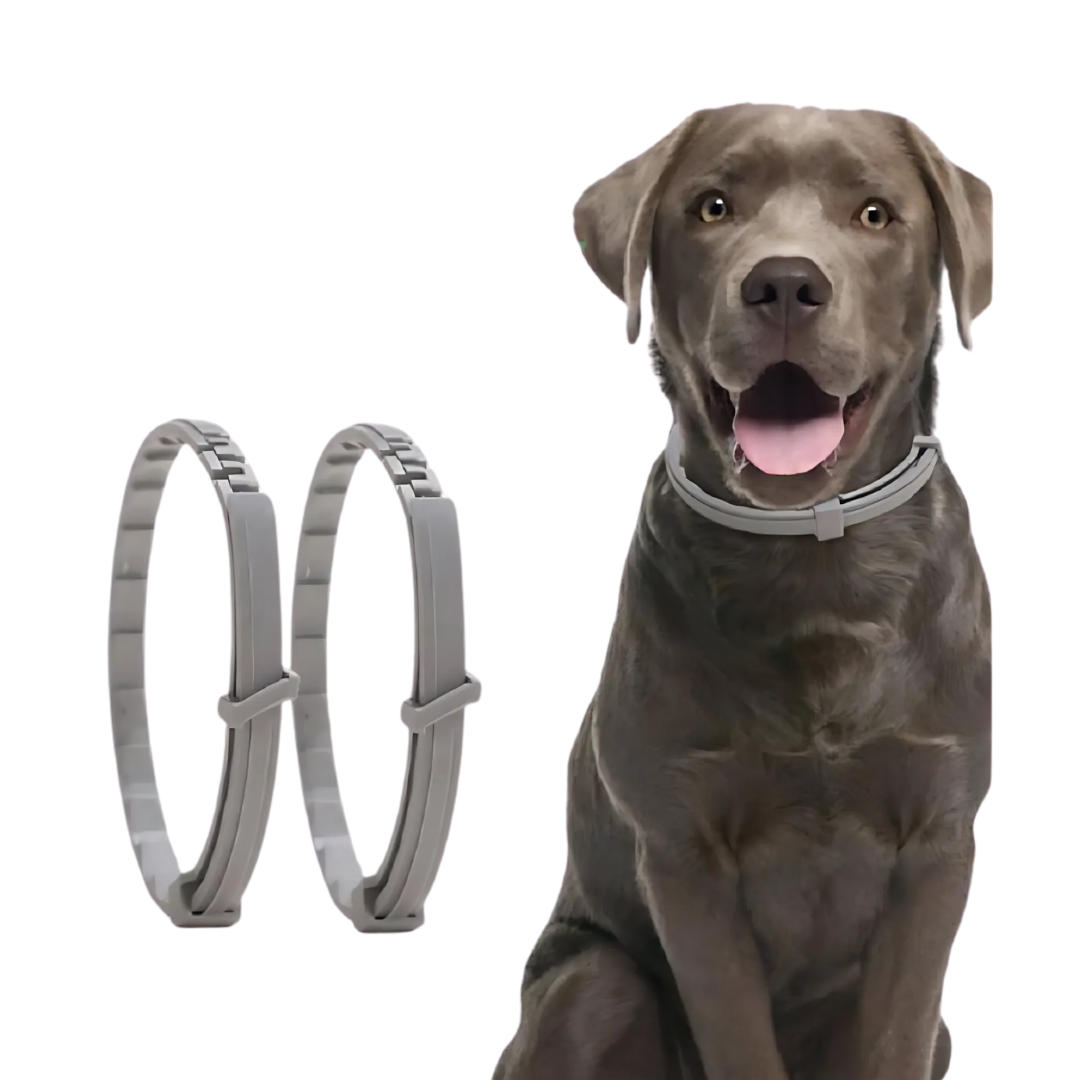 Zeckenschutz-Halsband für Hunde & Katzen – Pflanzlich & Wasserfest