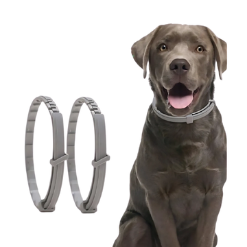Zeckenschutz-Halsband für Hunde & Katzen – Pflanzlich & Wasserfest