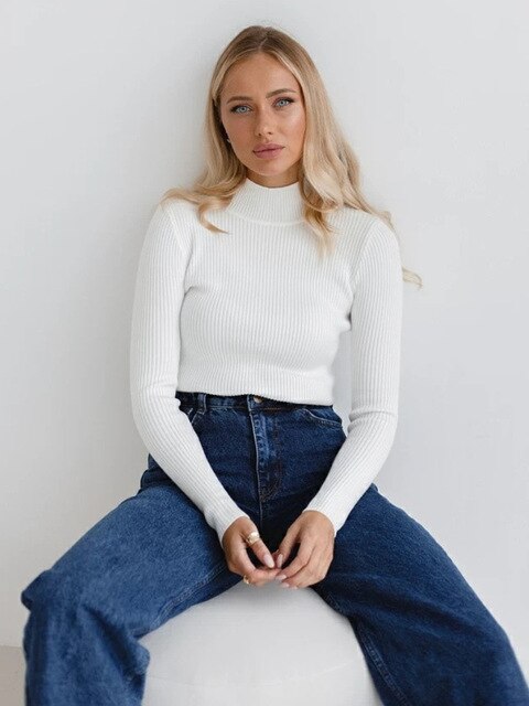 Modischer Rollkragenpullover für Frauen - Darian