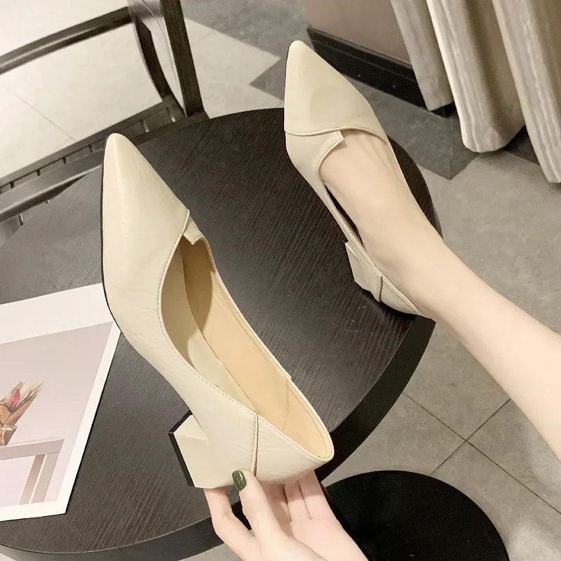 Averie - Elegante und Schlanke Spitze Schuhe