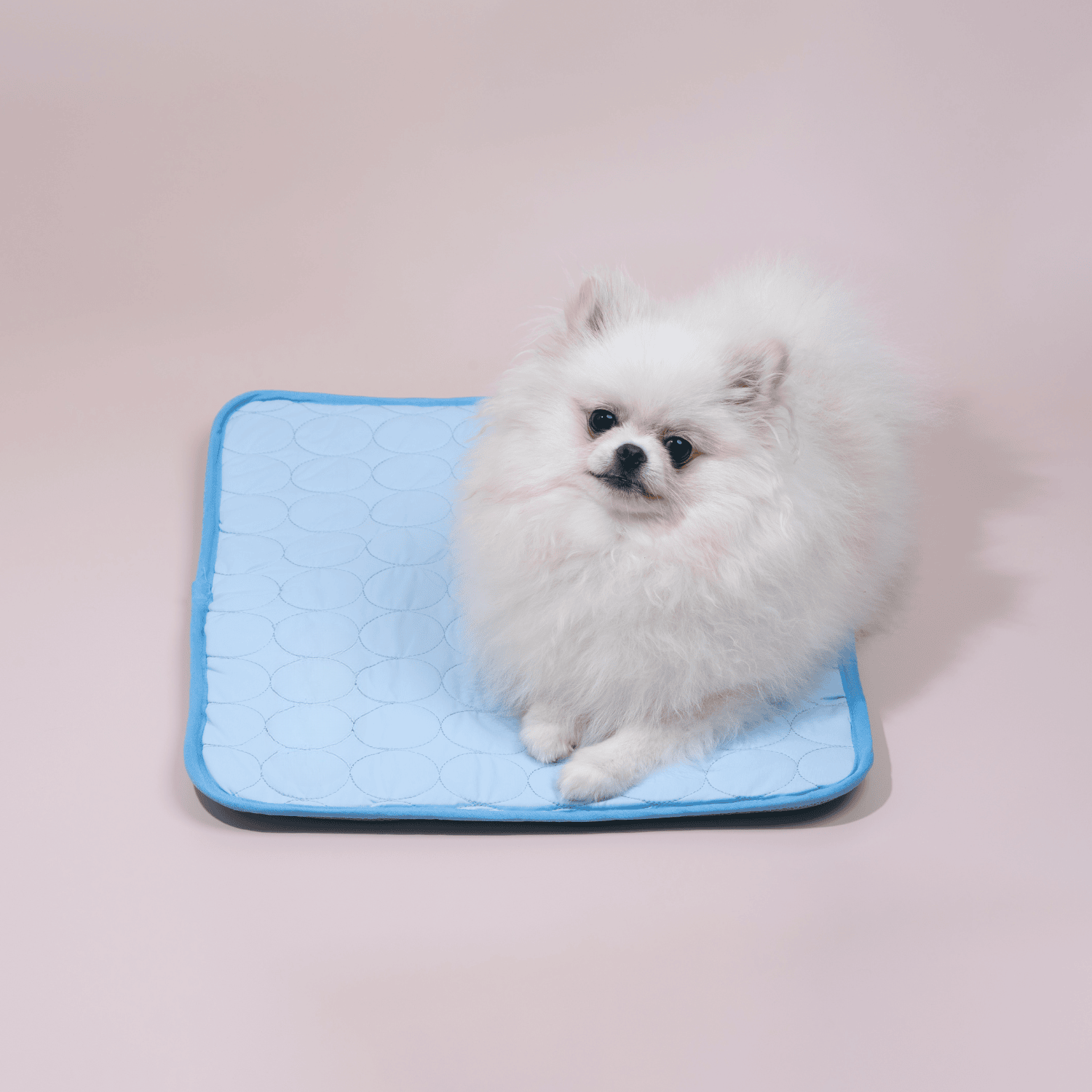Devako Hundekühlmatte