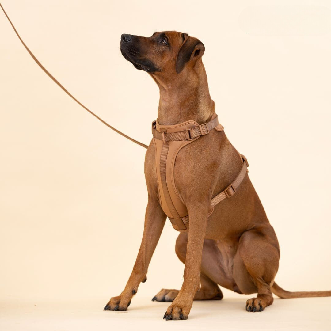 Devako hundesele walking sæt