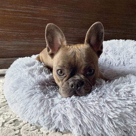 Pawello – Haustierbett flauschig & beruhigend – für Hunde und Katzen