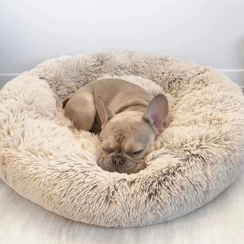 Pawello – Haustierbett flauschig & beruhigend – für Hunde und Katzen