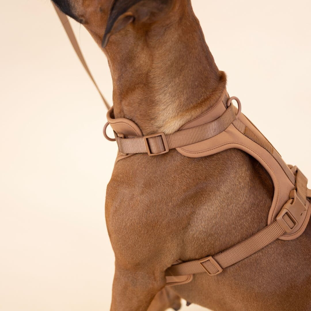 Devako hundesele walking sæt
