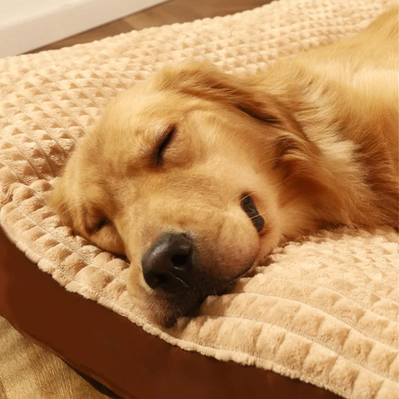 ComfyCanine – Ergonomischer Schlafkomfort für Hunde