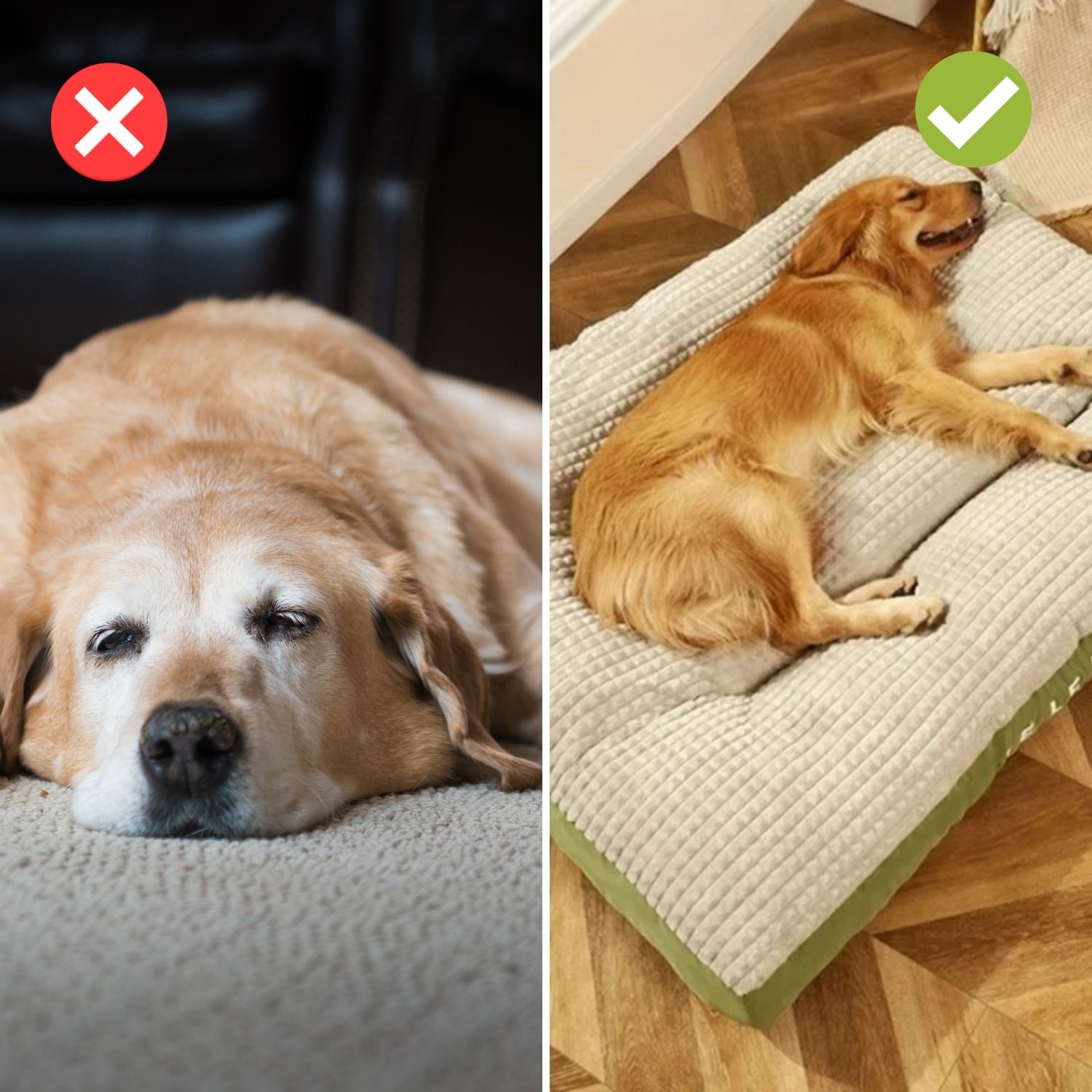 ComfyCanine – Ergonomischer Schlafkomfort für Hunde