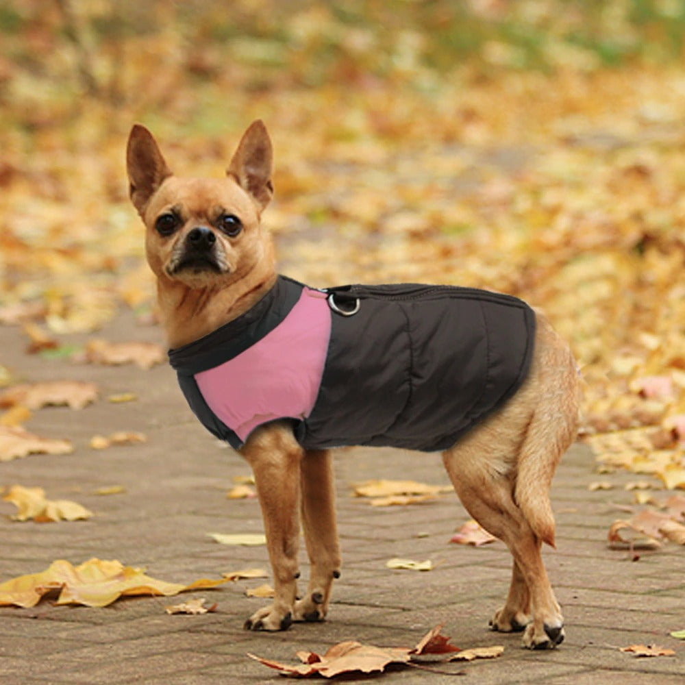 Devako Pet Wetter Jacke