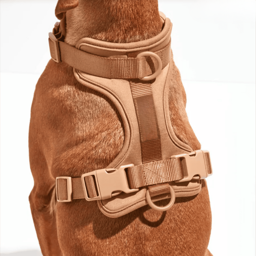 Devako hundesele walking sæt