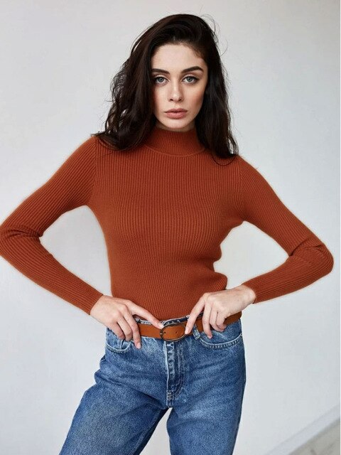 Modischer Rollkragenpullover für Frauen - Darian
