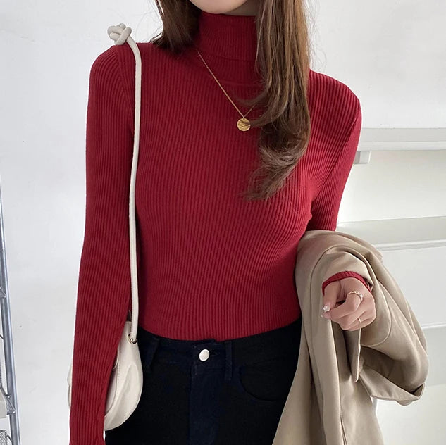 Trendiger Rollkragenpullover - Delja