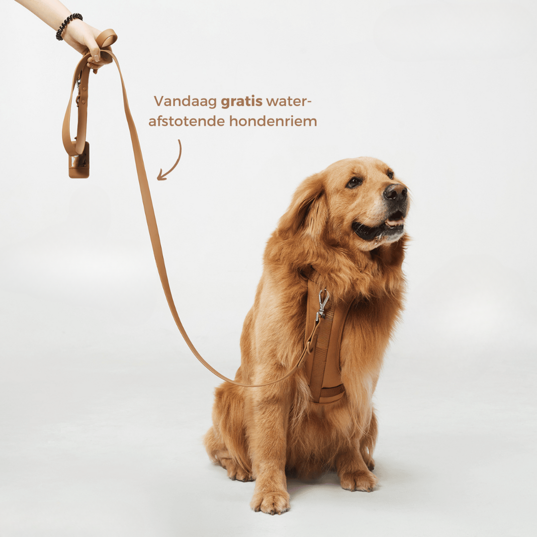 Devako hundesele walking sæt