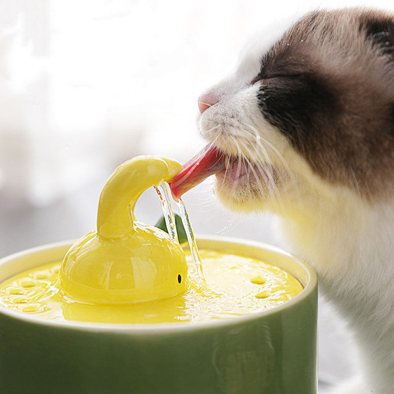 Devako Kaninchen Design Katte Vand-Brønd