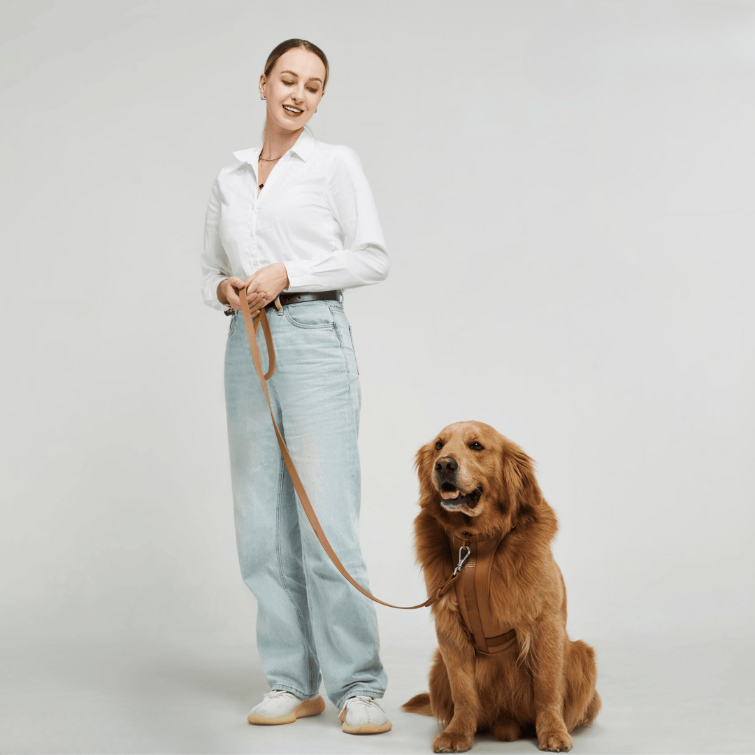 Devako hundesele walking sæt