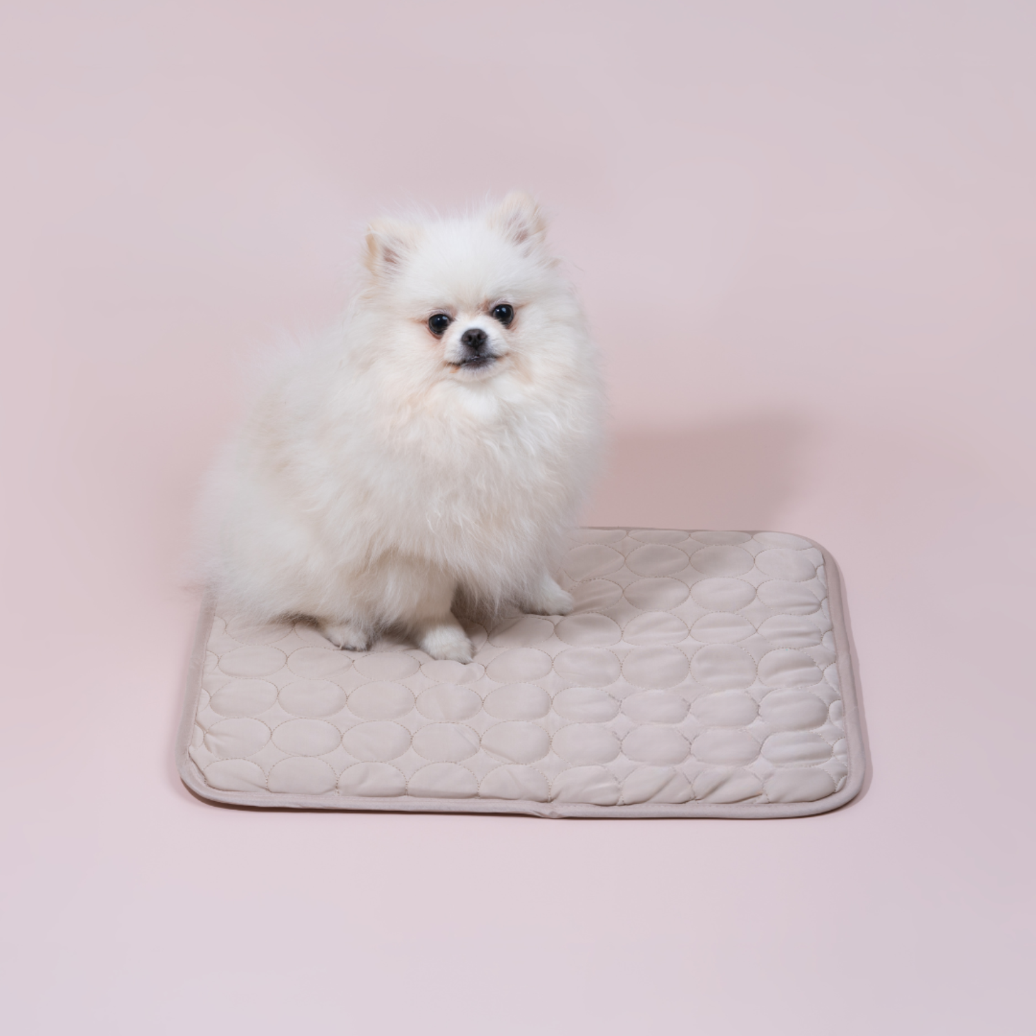 Devako Hundekühlmatte