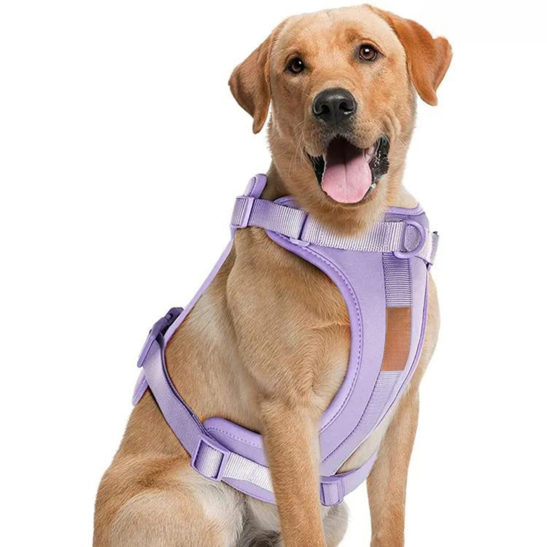 Devako hundesele walking sæt