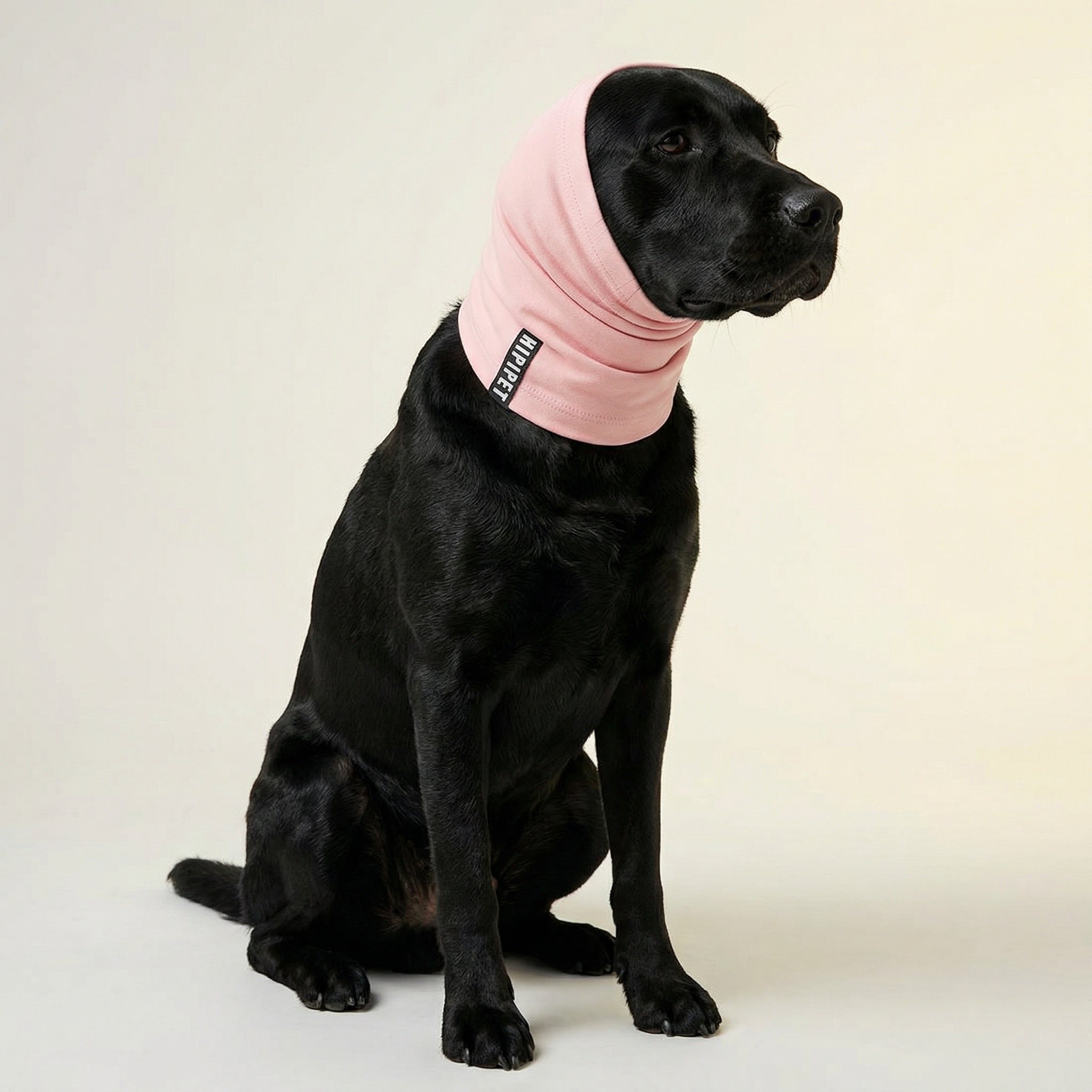 Proteggiorecchie per cani riduttore di rumore | Morbido, elastico per tranquillità in casa