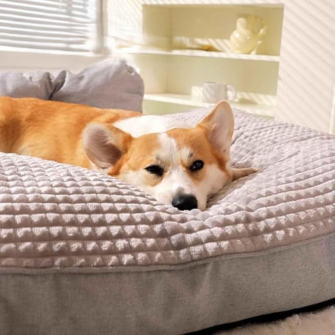 Betten & Schlafzubehör für Katzen und Hunde mit dickem waschbarem Kissen