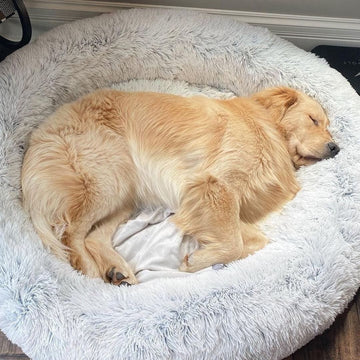 Pawello – Haustierbett flauschig & beruhigend – für Hunde und Katzen