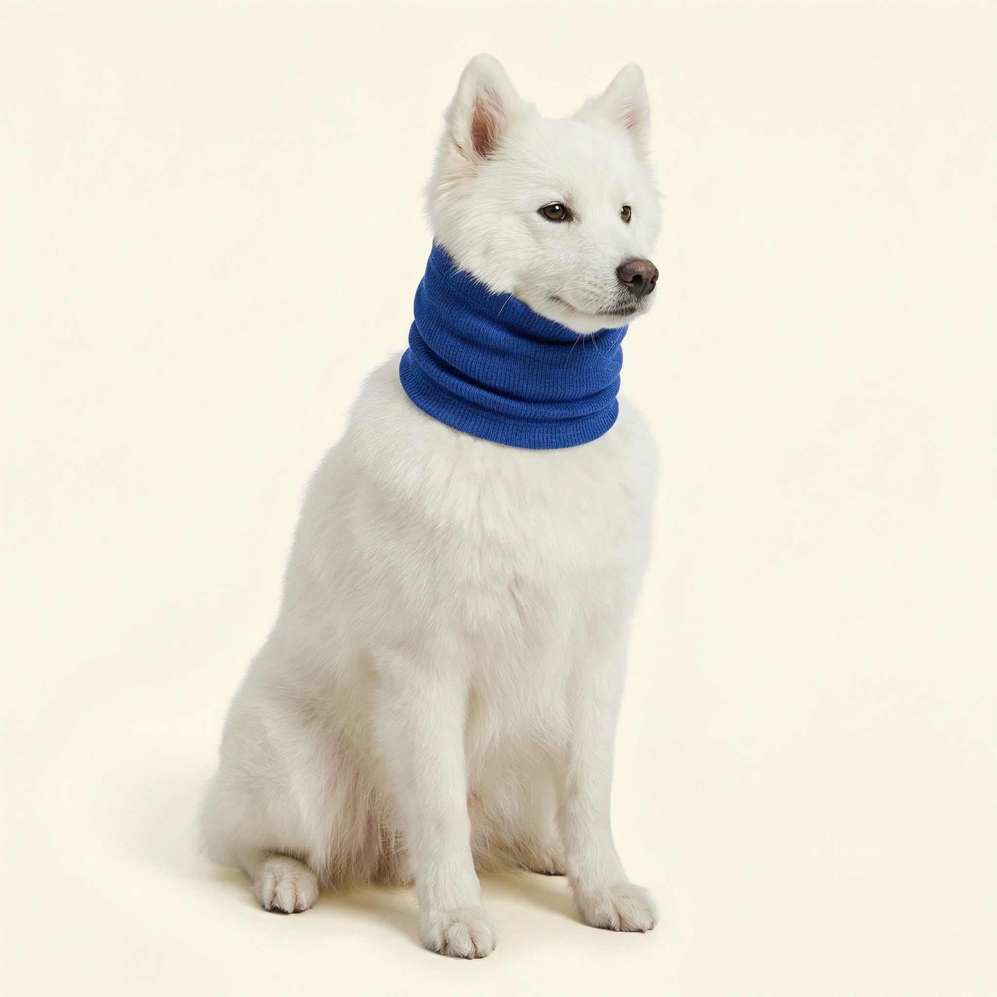 Proteggiorecchie per cani riduttore di rumore | Morbido, elastico per tranquillità in casa