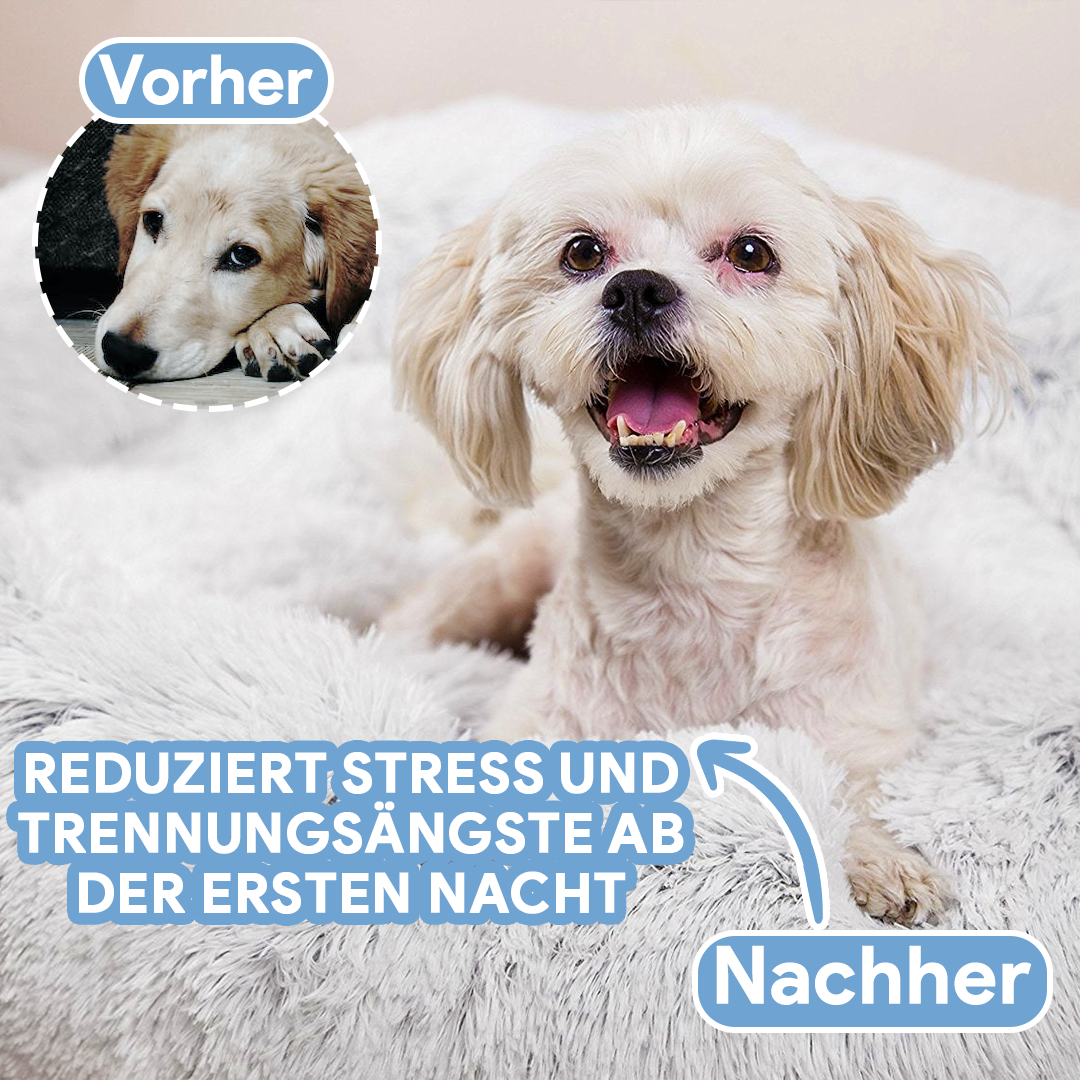 Hundebett Wolke – Flauschiger Komfort trifft beruhigenden Schlaf