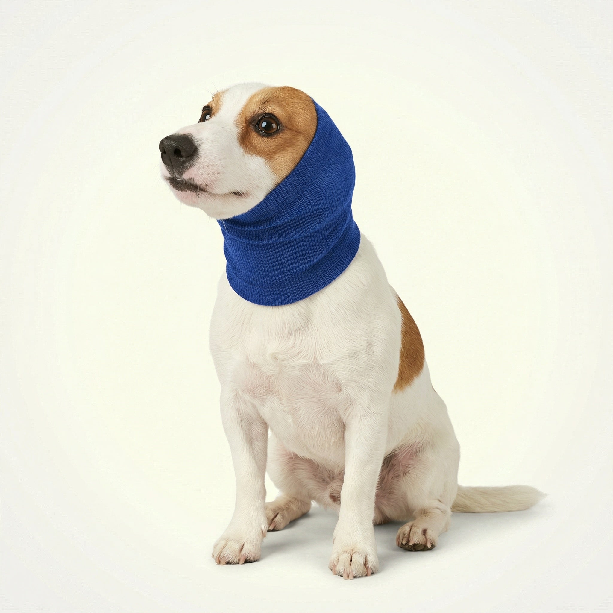 Proteggiorecchie per cani riduttore di rumore | Morbido, elastico per tranquillità in casa