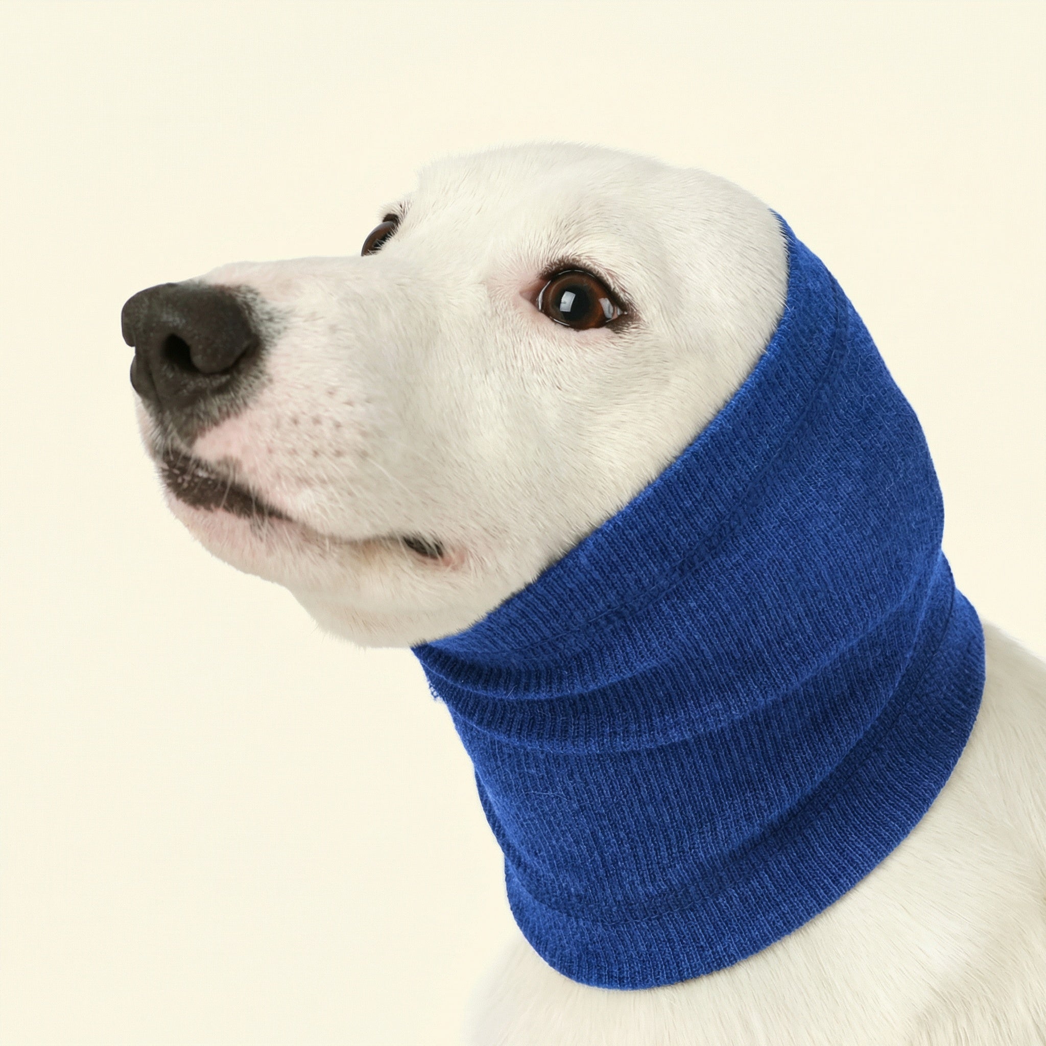 Proteggiorecchie per cani riduttore di rumore | Morbido, elastico per tranquillità in casa