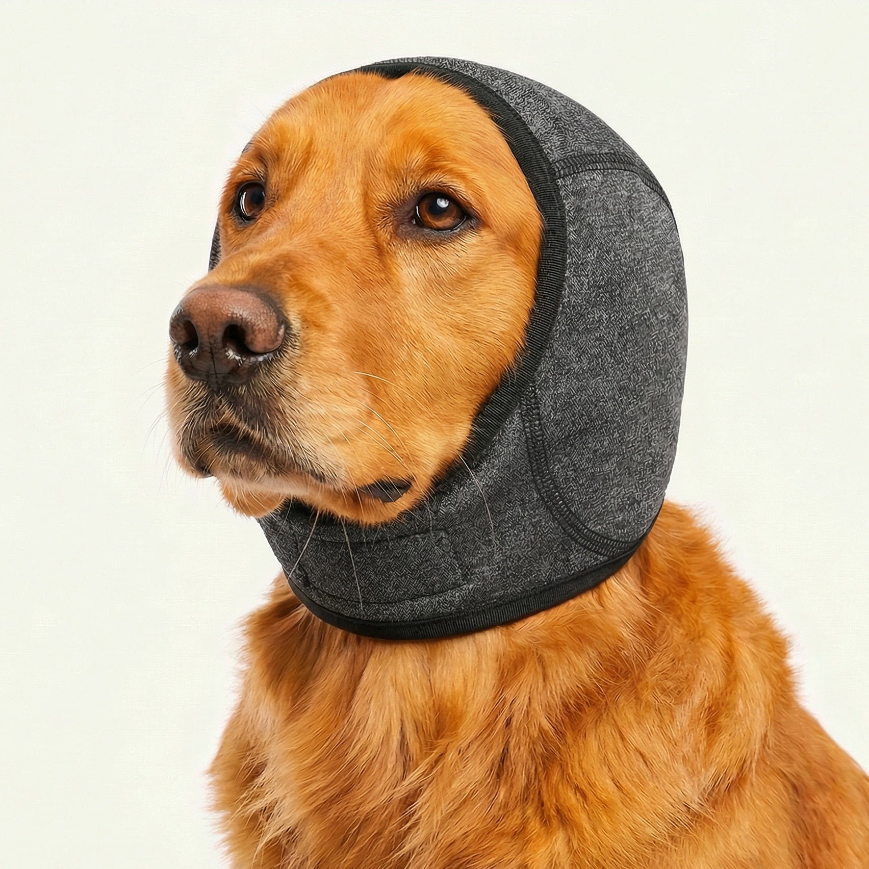 Calmpaw – Adjustable Dog Ear Protectors Noise-Reducing – Calm & Protection