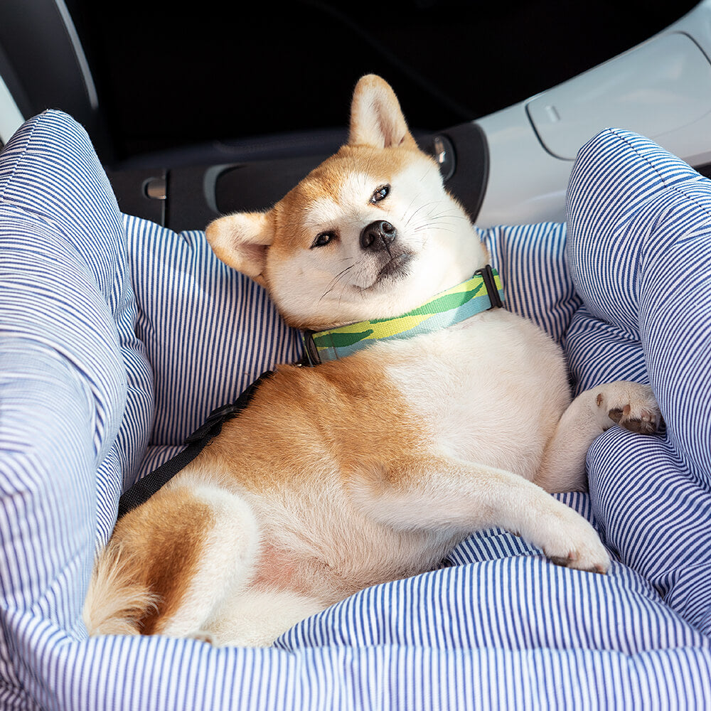 Komfortabel hundekurv til bilen - TravelPaw