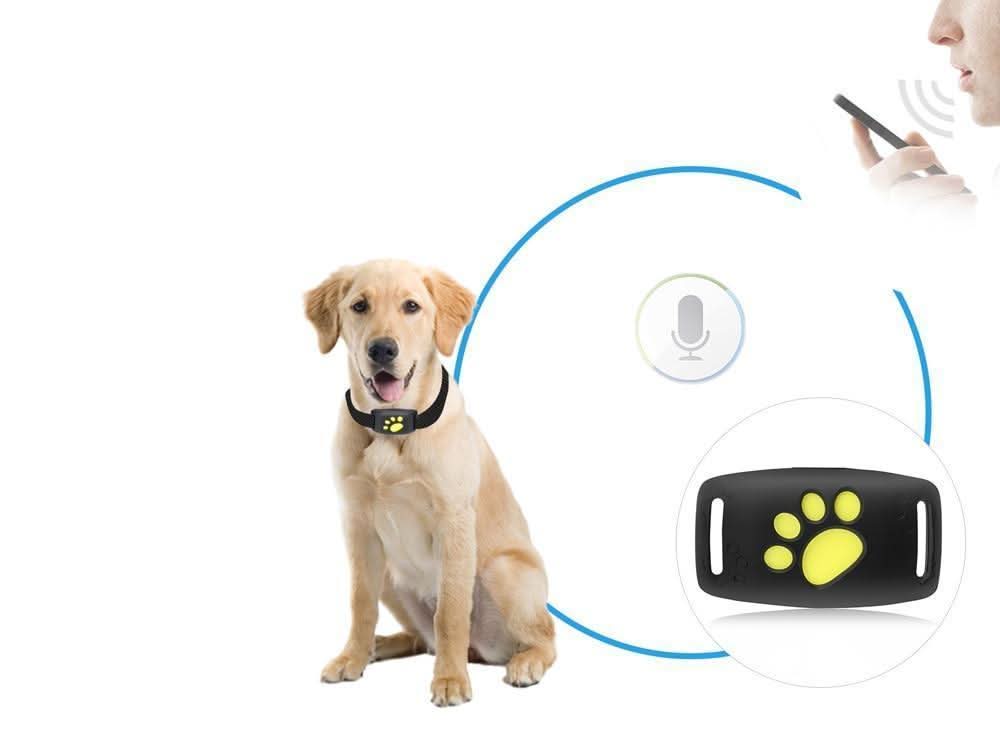 GPS-Tracker für Hunde & Katzen – Echtzeit-Ortung mit Kompaktem Design & Langlebigem Akku