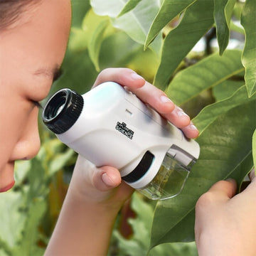 Kompaktes Mikroskop für Kinder - MicroExplorer