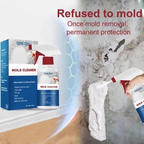 AntiMold Schimmelentferner Spray – 60 ml für Wände & Feuchträume