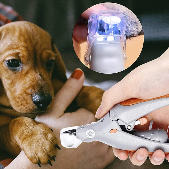Haustierbetreuung leicht gemacht mit sicherem Nagelschneider