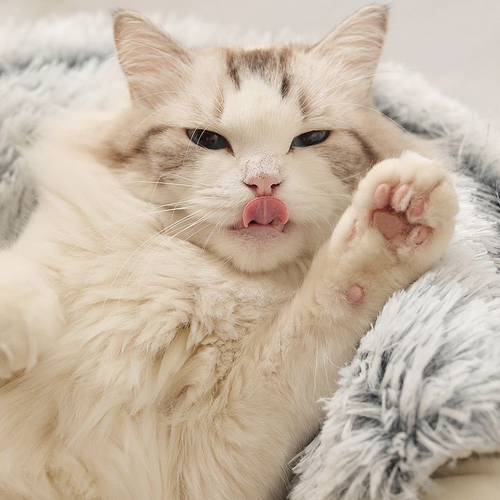 Hundeseng og katteseng til stressfri afslapning derhjemme