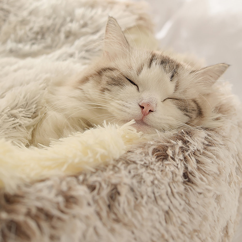 Hundeseng og katteseng til stressfri afslapning derhjemme