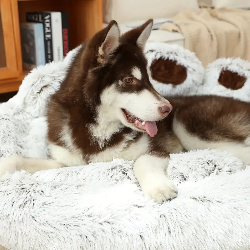 Hundebetten für ein komfortables und sicheres Reiseerlebnis