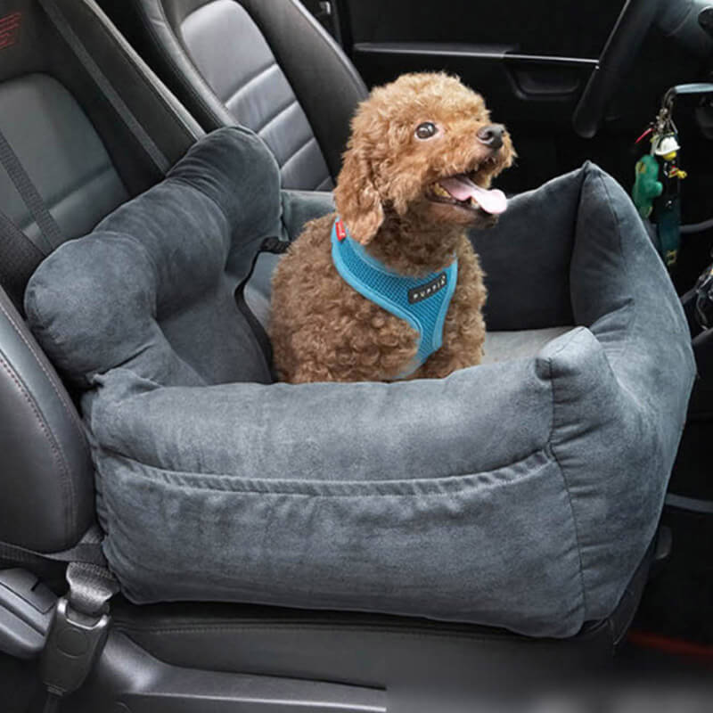 Hundebetten für komfortable und sichere Reisen mit deinem Liebling