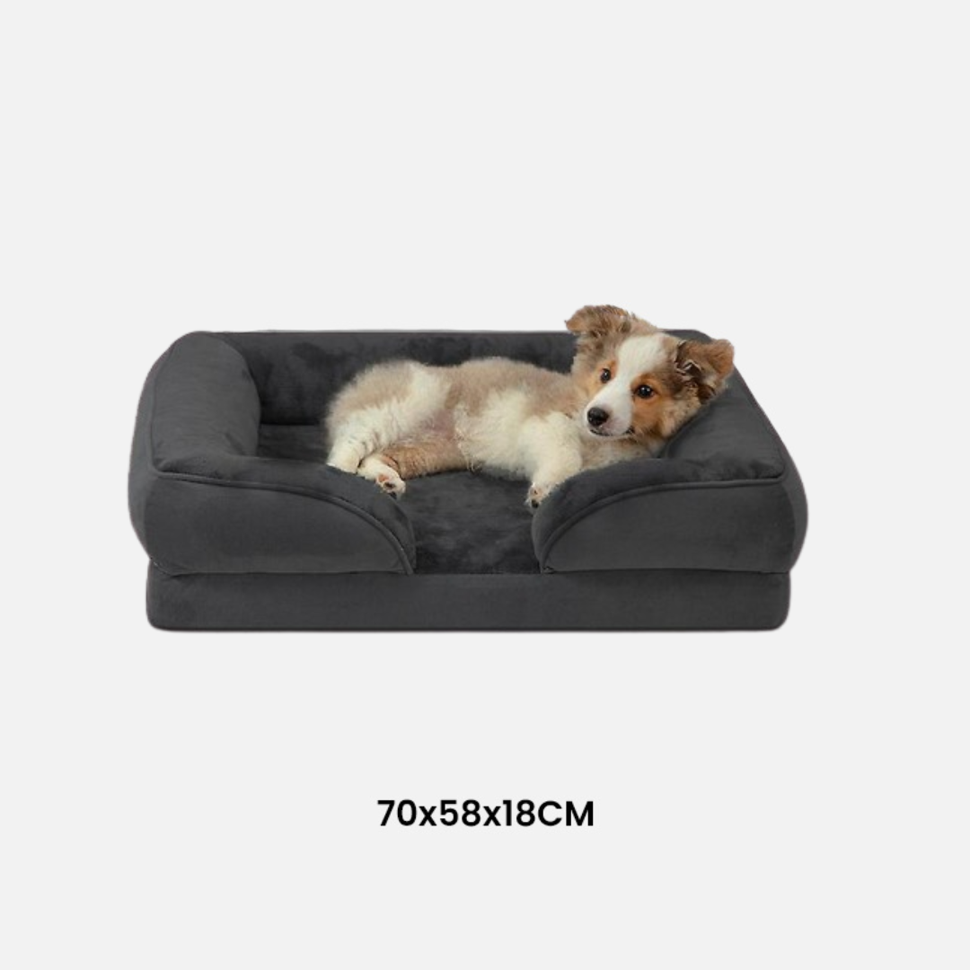 Orthopädisches Hundebett – Gesunder Schlaf und Entlastung für Gelenke