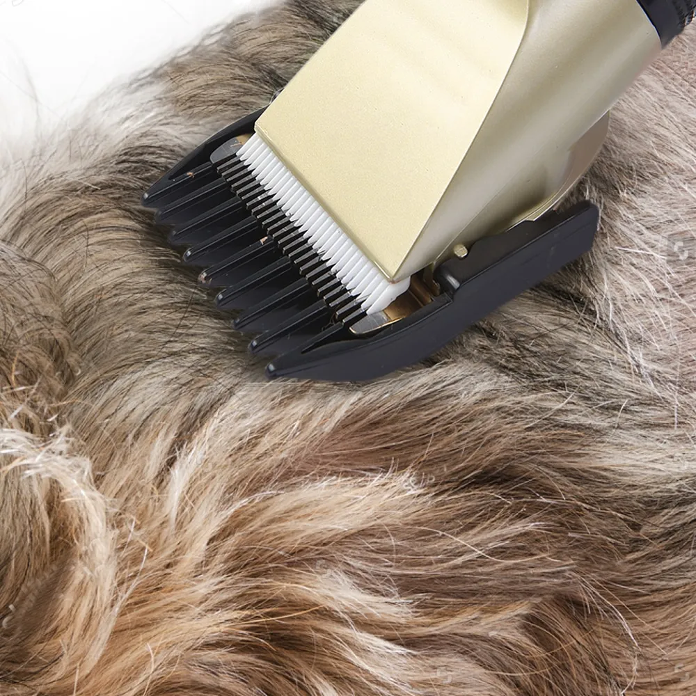 Pflegeset für Hunde und Katzen für sanfte und stressfreie Fellpflege